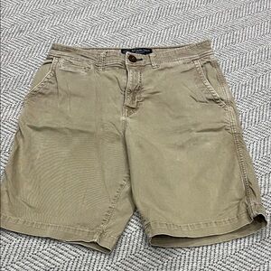 American Eagle Outfitters Olive/Tan Flat Front Men's Shorts